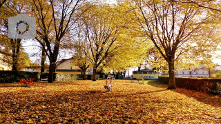 Spielplatz Gartenstraße